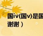國(guó)iv(國(guó)v)是國(guó)幾（國(guó)IV(國(guó)V)這是什么意思 謝謝）
