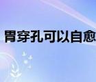 胃穿孔可以自愈嗎（胃穿孔手術(shù)后多久恢復(fù)）