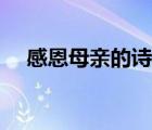 感恩母親的詩(shī)句全集（感恩母親的詩(shī)句）