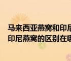 馬來西亞燕窩和印尼燕窩的營養(yǎng)有區(qū)別嗎（馬來西亞燕窩和印尼燕窩的區(qū)別在哪里）