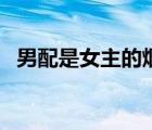 男配是女主的煙青色下載（男配是女主的）