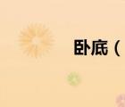 臥底（說一說臥底的簡(jiǎn)介）
