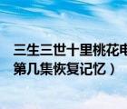 三生三世十里桃花電視劇白淺懷孕（三生三世十里桃花白淺第幾集恢復(fù)記憶）