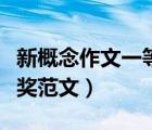 新概念作文一等獎(jiǎng)范文欣賞（新概念作文一等獎(jiǎng)范文）