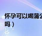 懷孕可以喝蒲公英茶嘛（懷孕可以喝蒲公英茶嗎）