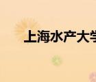 上海水產(chǎn)大學(xué)（上海水產(chǎn)大學(xué)是幾本）