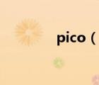 pico（說一說pico的簡介）