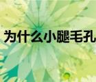 為什么小腿毛孔堵塞（小腿毛孔堵塞怎么辦）