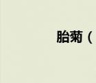 胎菊（說一說胎菊的簡(jiǎn)介）