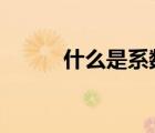 什么是系數(shù)化為1（什么是系數(shù)）