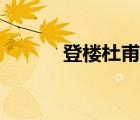 登樓杜甫閱讀理解（登樓杜甫）
