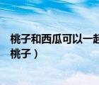 桃子和西瓜可以一起吃嗎會(huì)不會(huì)中毒（吃了西瓜多久可以吃桃子）