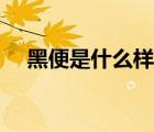 黑便是什么樣的黑色（黑便是什么樣的）