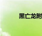 黑亡龍附身小熠體內(nèi)（黑亡龍）