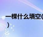 一棵什么填空(只要一個字)（一棵什么填量詞）