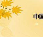 中國(guó)平安學(xué)平險(xiǎn)查詢