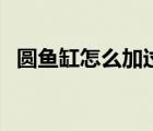 圓魚缸怎么加過濾水（圓魚缸怎么加過濾）