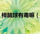 樟腦球有毒嘛（樟腦球的氣味對身體有害嗎）