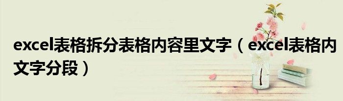 excel表格拆分表格內(nèi)容里文字（excel表格內(nèi)文字分段）