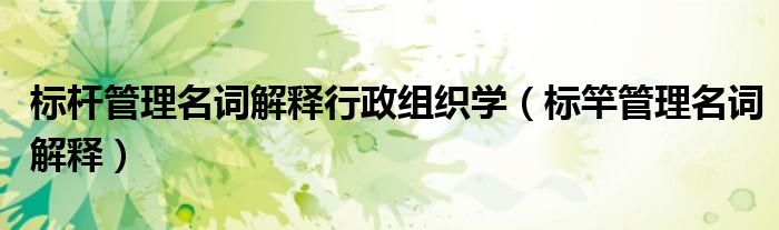 標(biāo)桿管理名詞解釋行政組織學(xué)（標(biāo)竿管理名詞解釋）