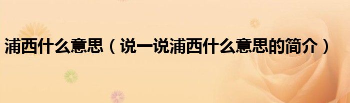 浦西什么意思（說一說浦西什么意思的簡介）