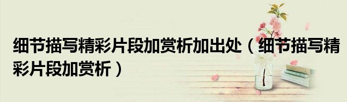 細(xì)節(jié)描寫(xiě)精彩片段加賞析加出處（細(xì)節(jié)描寫(xiě)精彩片段加賞析）