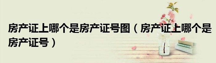 房產(chǎn)證上哪個是房產(chǎn)證號圖（房產(chǎn)證上哪個是房產(chǎn)證號）