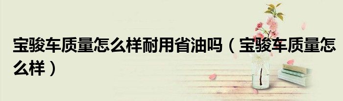 寶駿車質(zhì)量怎么樣耐用省油嗎（寶駿車質(zhì)量怎么樣）