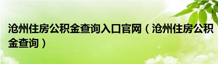 滄州住房公積金查詢入口官網(wǎng)（滄州住房公積金查詢）