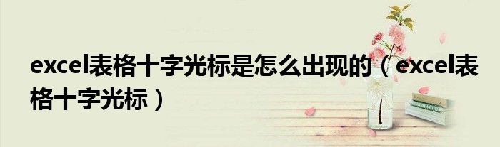 excel表格十字光標(biāo)是怎么出現(xiàn)的（excel表格十字光標(biāo)）