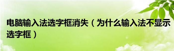 電腦輸入法選字框消失（為什么輸入法不顯示選字框）