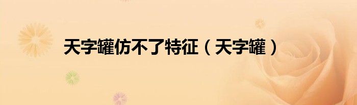 天字罐仿不了特征（天字罐）