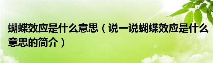 蝴蝶效應(yīng)是什么意思（說一說蝴蝶效應(yīng)是什么意思的簡介）