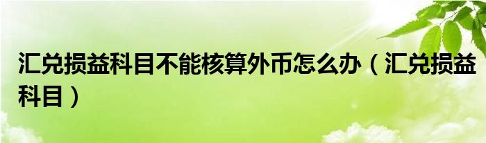 匯兌損益科目不能核算外幣怎么辦（匯兌損益科目）