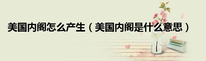 美國內(nèi)閣怎么產(chǎn)生（美國內(nèi)閣是什么意思）