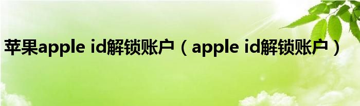 蘋果apple id解鎖賬戶（apple id解鎖賬戶）