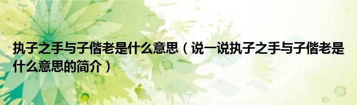 執(zhí)子之手與子偕老是什么意思（說一說執(zhí)子之手與子偕老是什么意思的簡介）