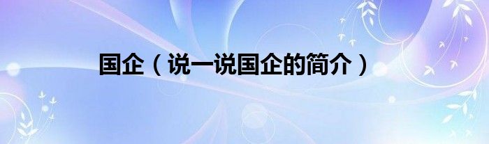 國企（說一說國企的簡介）