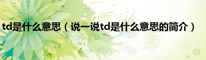 td是什么意思（說一說td是什么意思的簡介）