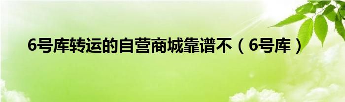 6號庫轉(zhuǎn)運的自營商城靠譜不（6號庫）