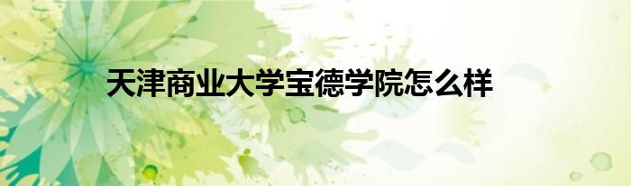 天津商業(yè)大學(xué)寶德學(xué)院怎么樣