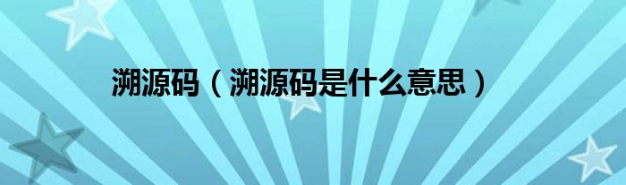 溯源碼（溯源碼是什么意思）