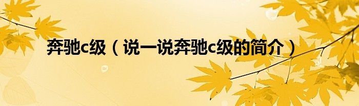 奔馳c級（說一說奔馳c級的簡介）