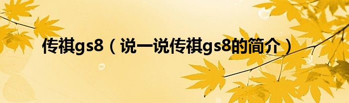 傳祺gs8（說一說傳祺gs8的簡介）