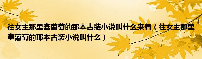 往女主那里塞葡萄的那本古裝小說叫什么來著（往女主那里塞葡萄的那本古裝小說叫什么）
