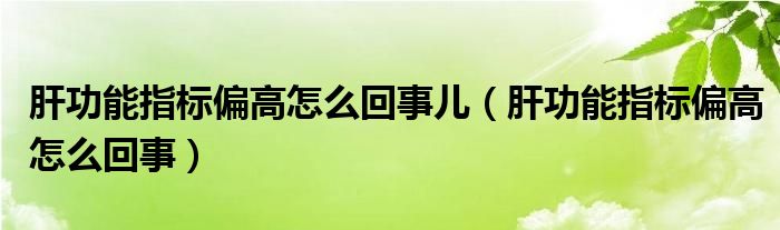 肝功能指標(biāo)偏高怎么回事兒（肝功能指標(biāo)偏高怎么回事）