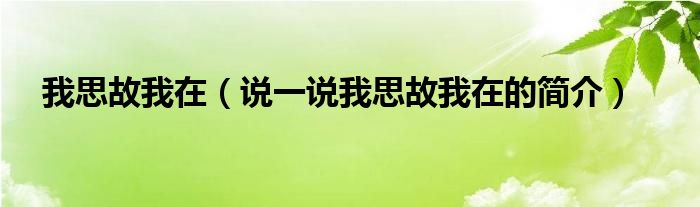 我思故我在（說一說我思故我在的簡介）