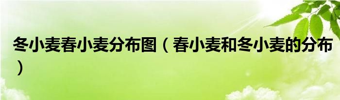 冬小麥春小麥分布圖（春小麥和冬小麥的分布）