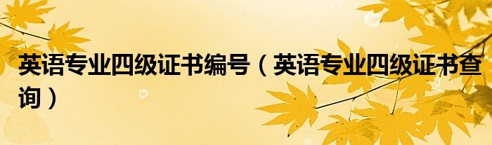 英語專業(yè)四級證書編號（英語專業(yè)四級證書查詢）
