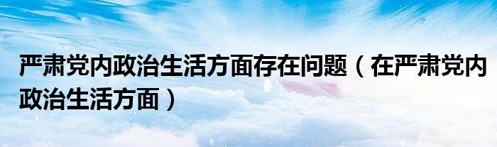 嚴(yán)肅黨內(nèi)政治生活方面存在問題（在嚴(yán)肅黨內(nèi)政治生活方面）
